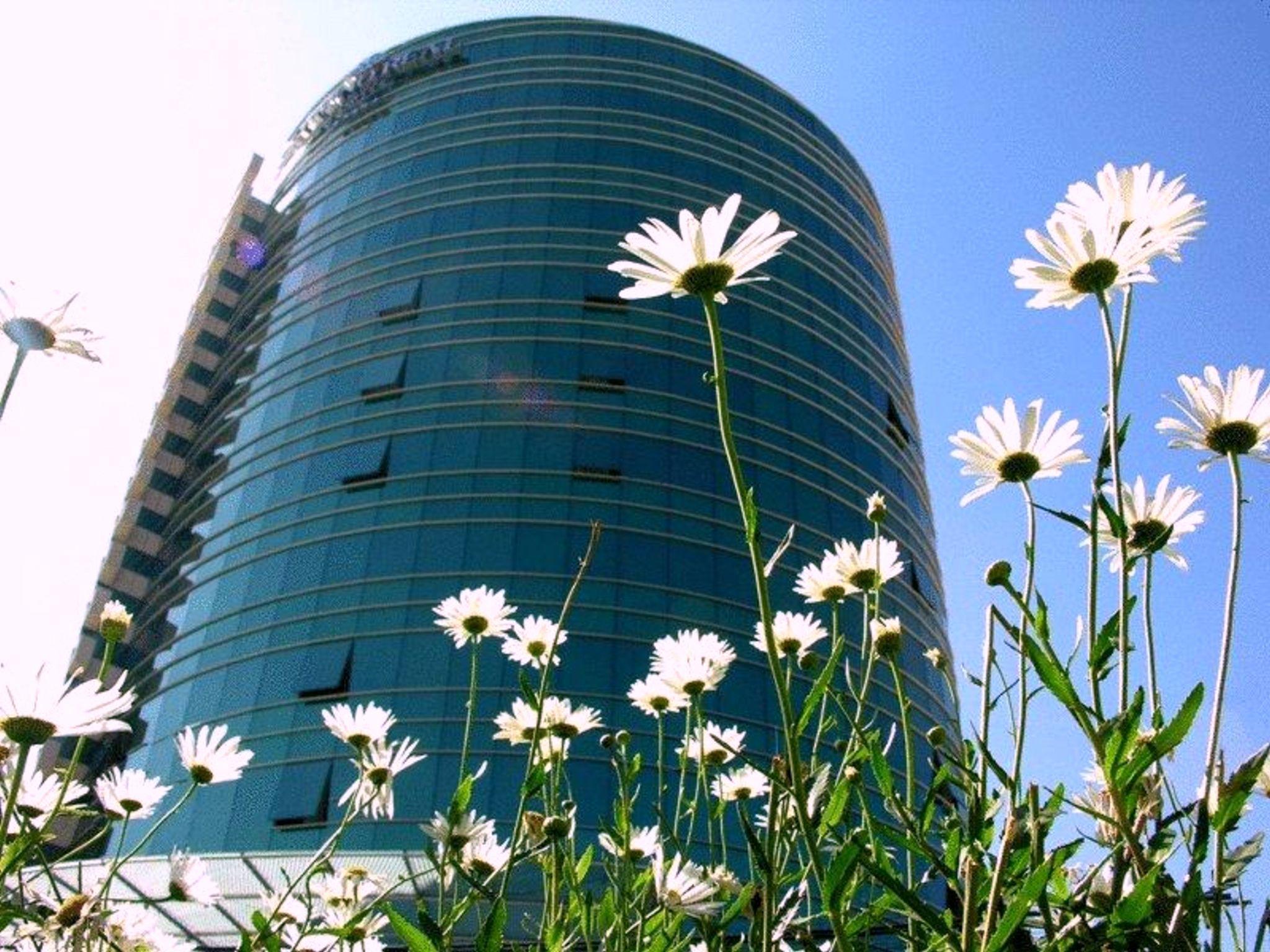 Suites Camino Real La Paz Ngoại thất bức ảnh